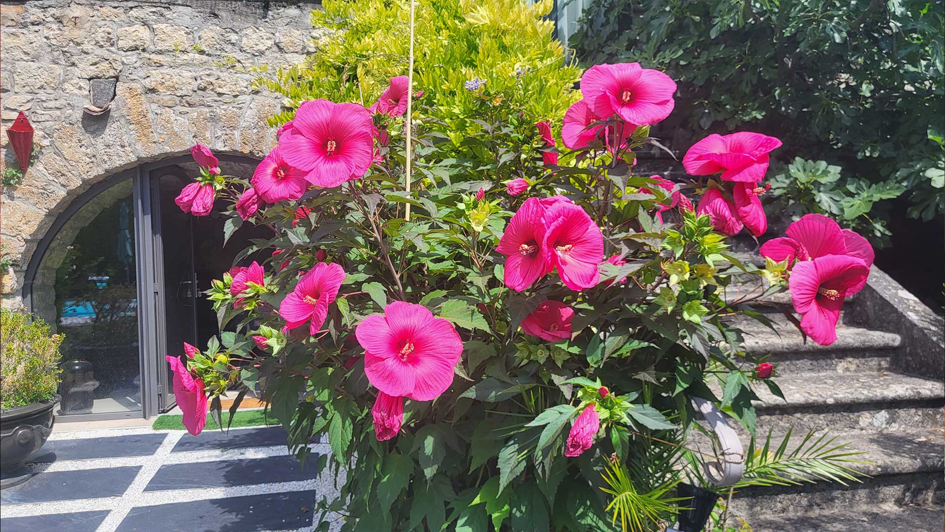 La chambre Hibiscus